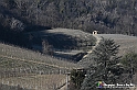 VBS_0783 - Corneliano d'Alba